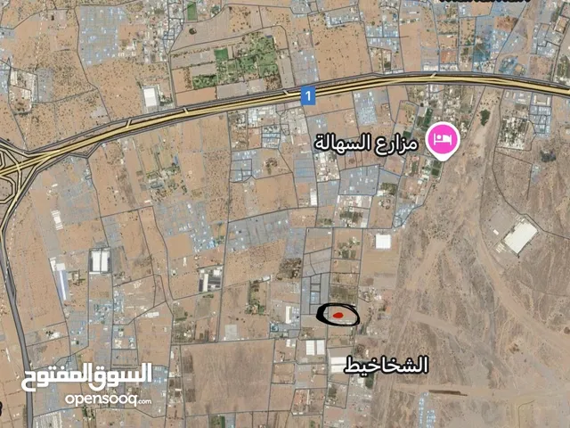 ارض زراعية للبيع مساحة ممتازه خمس دقائق من مدينه سلطان هيثم/المالك