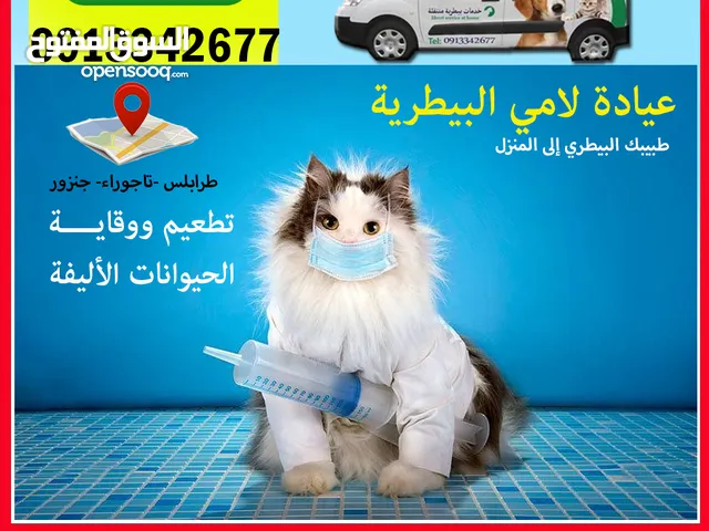 عيادة لامي البيطرية  لعلاج وتطعيم القطط