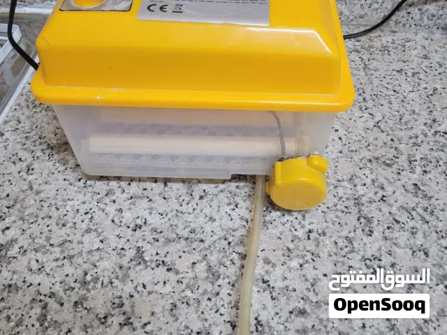 فقاسة بيض طيور