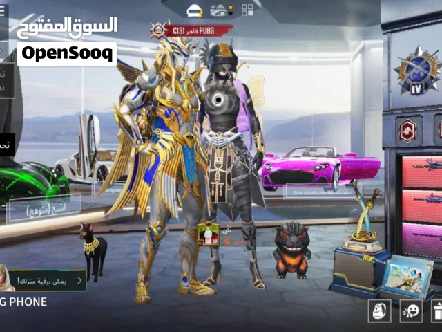 Pubg Accounts and Characters for Sale in Baghdad