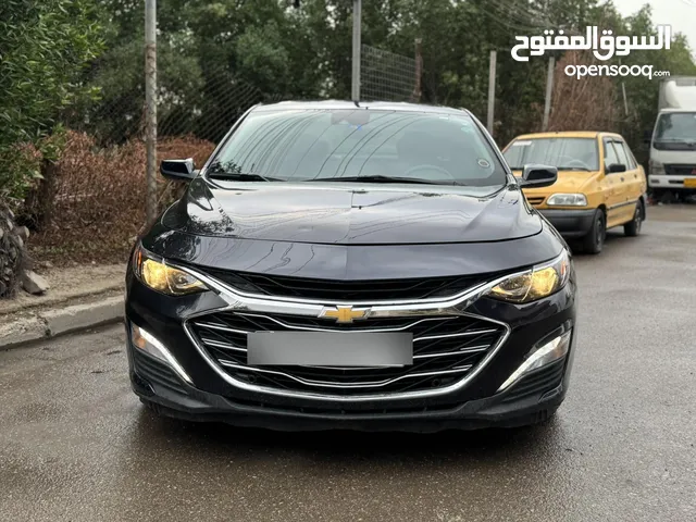 ماليبو 2023
