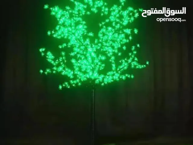 تجهيزات المولد النبوي الشريف متوفرة الآن في متجر يمن بلازا - عروض خاصة للتجار والمسوقين