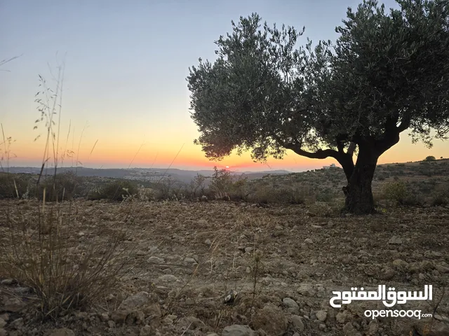 ارض قمه جبل اطلاله مميزه 500 متر