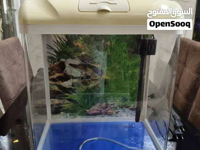 Small Complete Home Aquarium Tank with LED Hood and Filter