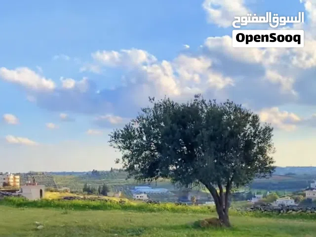 ارض للبيع خلف مدارس الشويفات وقرب مدارس الجالية الدولية