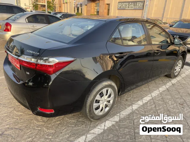 Toyota Corolla for rent