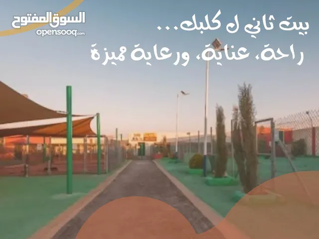 من اللعب والاهتمام إلى النوم الهادئ... نحن البيت الثاني الذي يستحقه كلبك.