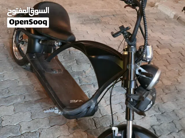 Harley electric bike ( citycoco model)