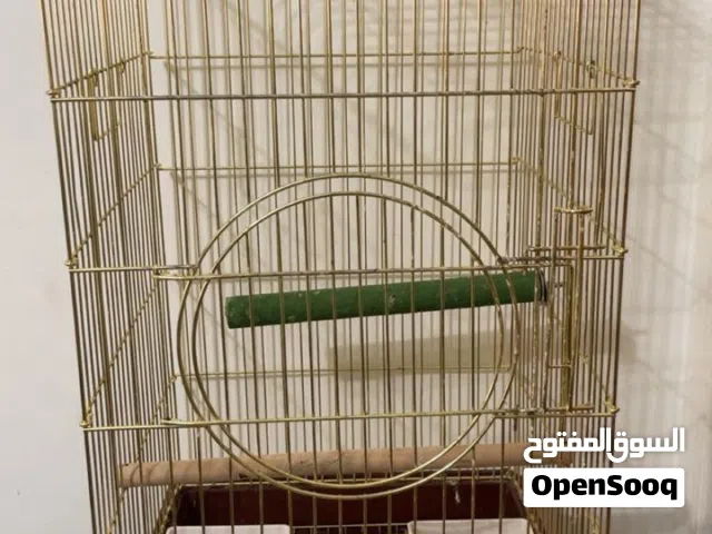 أقفاص للبيع