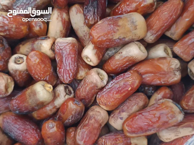تمر نغال جريجرو 7/2025