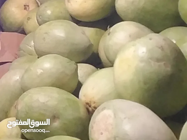 حبحب ابين احور حاالي عسل
