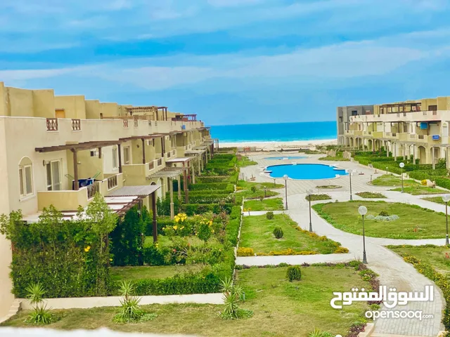3 Bedrooms Farms for Sale in Matruh Dabaa
