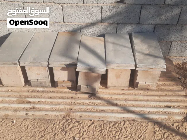 صناديق سفر مستعمل عدد 6ب 150