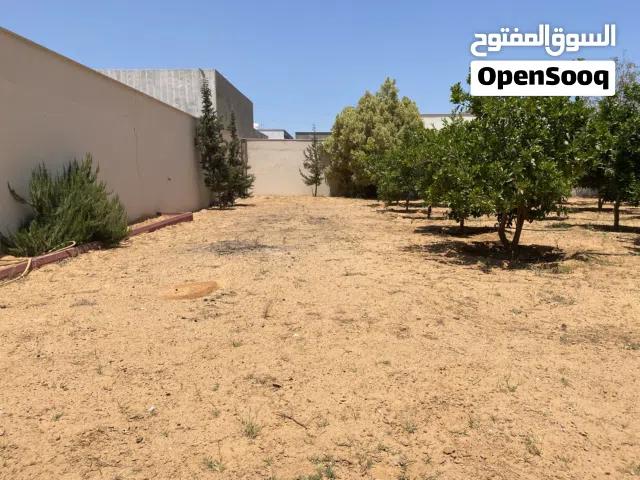 ارض للبيع تجارية