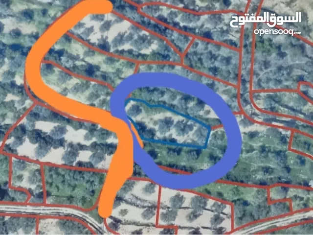 Farm Land for Sale in Salfit Other
