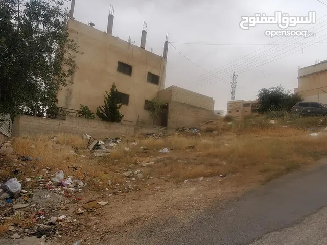 Residential Land for Sale in Amman Al-Rabwa