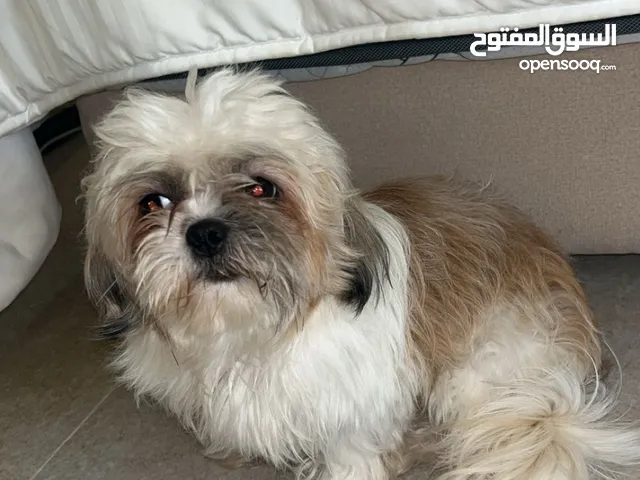 للبيع او للبدل ب سوني4 او 5 او اكس بكس