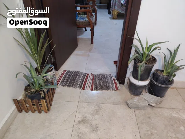 بيت للإيجار في هافلان