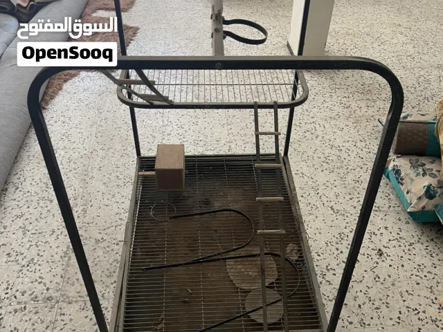 طاولة ببغاء كبيرة