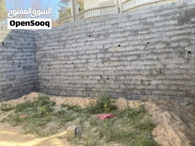 مطلوب اسطي كرسنه ملعقه
