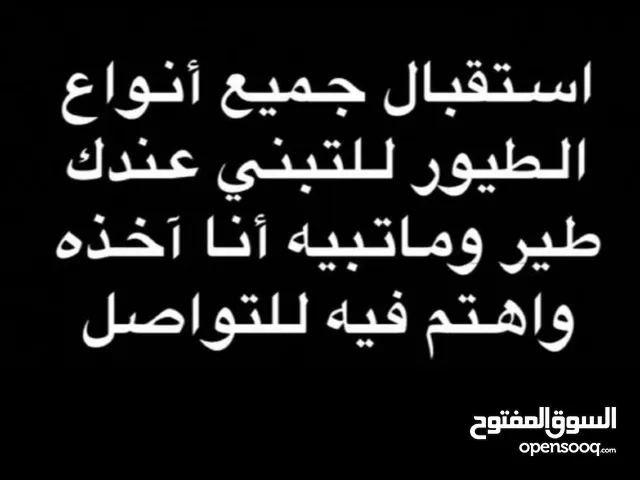 مطلوب طيور للتبني