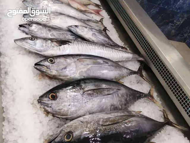 محل لبيع وشوي الأسماك والمأكولات البحرية فرصه لمن يرغب بالتجاره حيث أن ترخيص بيع الأسماك موقوف حاليا