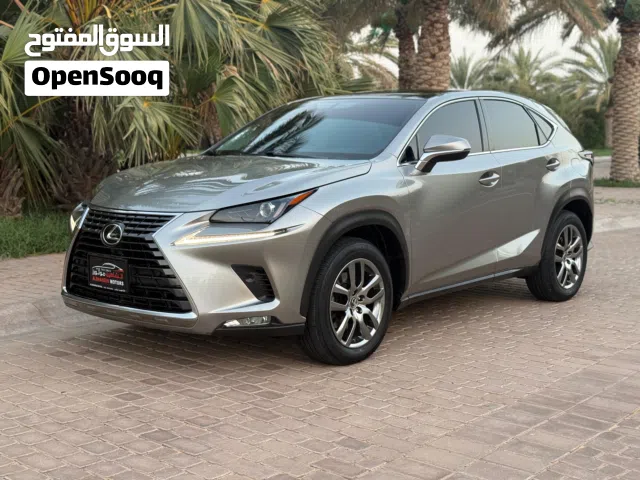 2020 Lexus NX NX 300