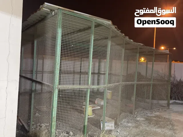 للبيع قفص طيور السعر :100 دينار فقط