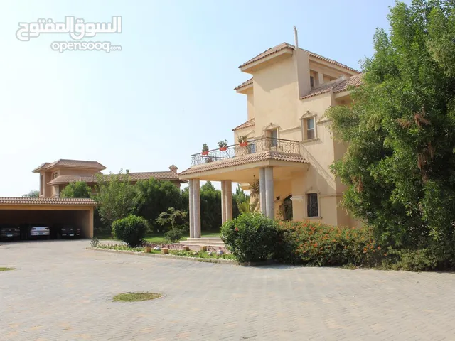 10000 m2 More than 6 bedrooms Villa for Sale in Cairo New October