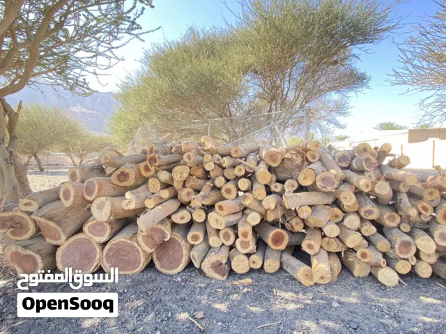 حطب سمر للبيع وكبير