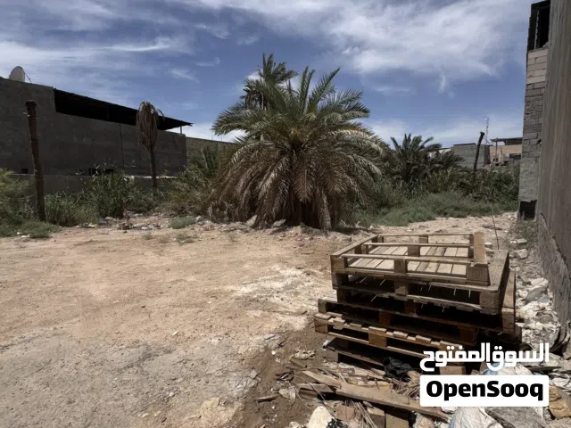 Farm Land for Sale in Basra Abu Al-Khaseeb