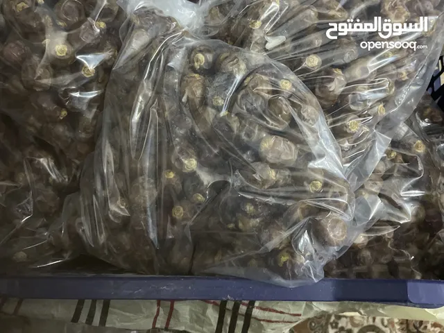 تمر برحي مجبوس