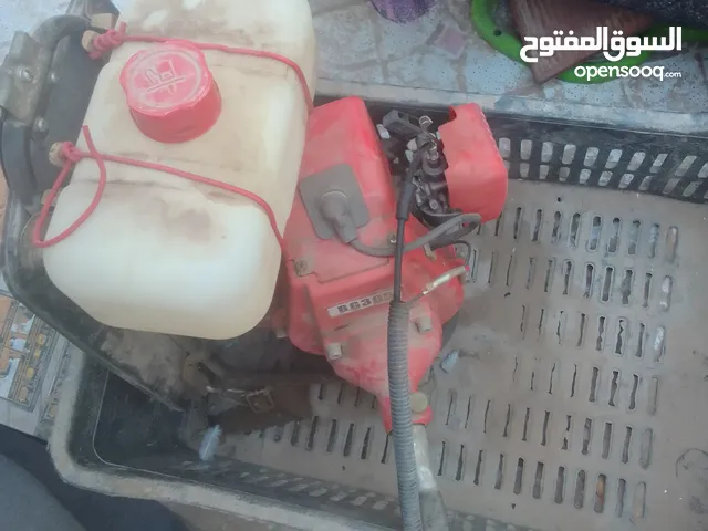 حاشوشه حاسوشه