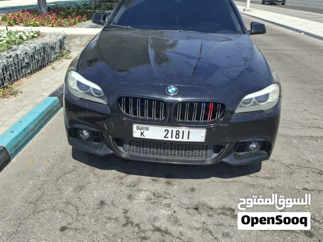 2013 BMW 5 Series 520