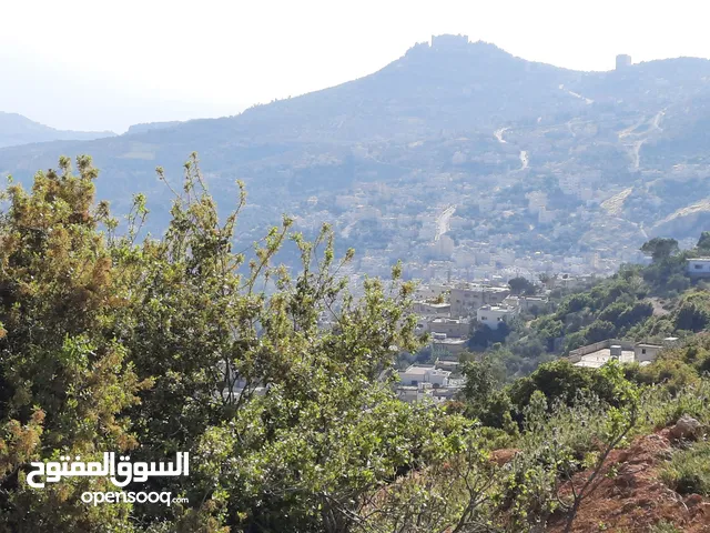 Mixed Use Land for Sale in Ajloun E'in Jana