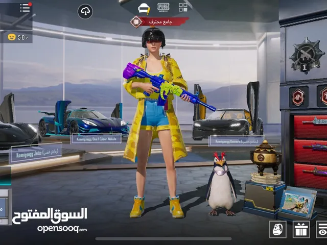 Pubg Accounts and Characters for Sale in Amman