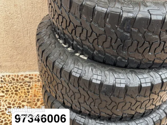 تواير Black Bear