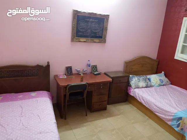 150 m2 3 Bedrooms Apartments for Rent in Mansoura El Mansoura University