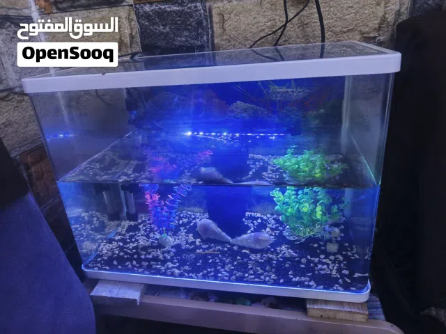 للبيع حوض اسماك 60*40