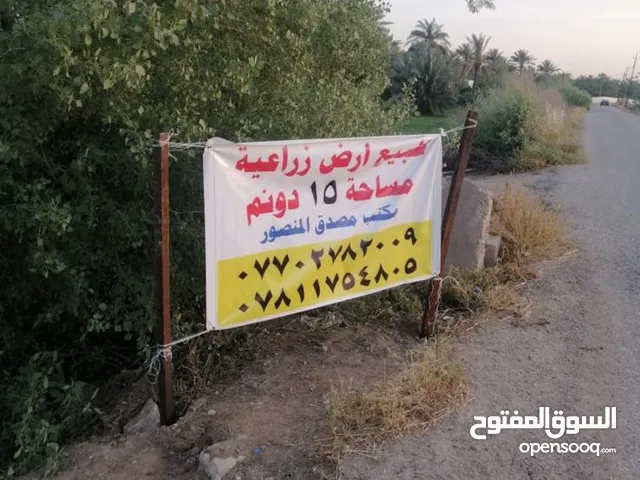 Mixed Use Land for Sale in Baghdad Salman Pak