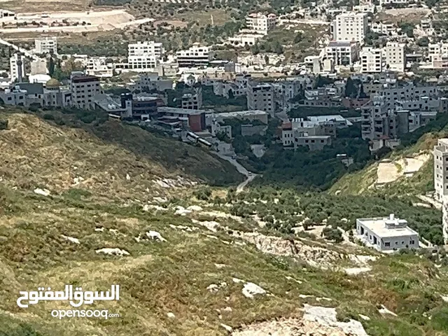 نمر اراضي في بيت وزن