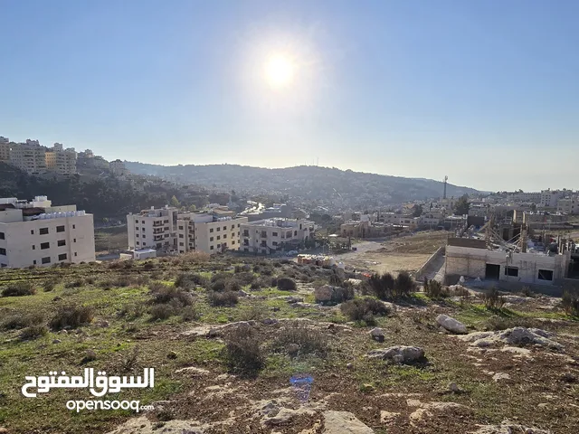 Residential Land for Sale in Amman Naour