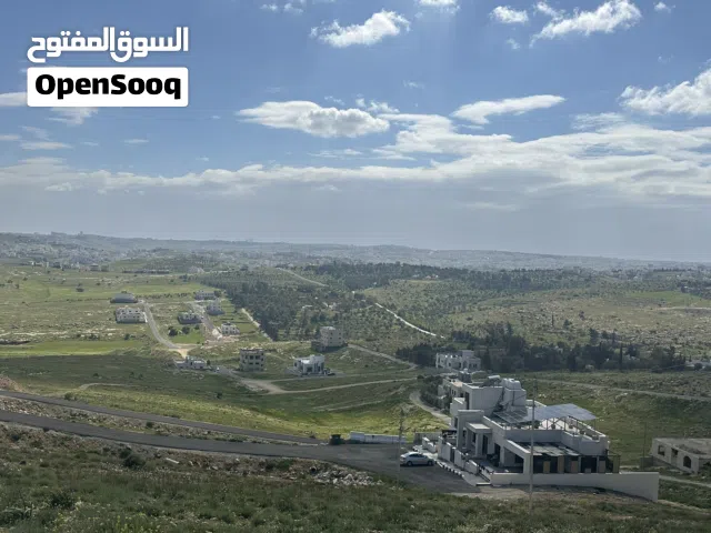 Residential Land for Sale in Amman Shafa Badran