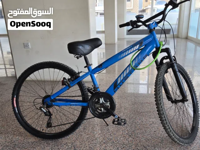 بسكليت مقاس كبير