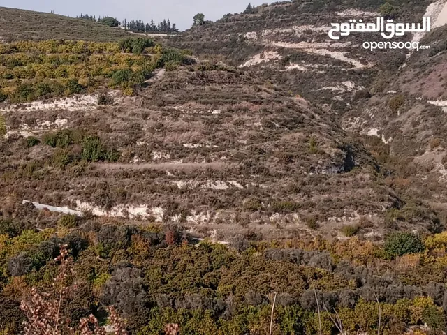 Farm Land for Sale in Jezzine Other