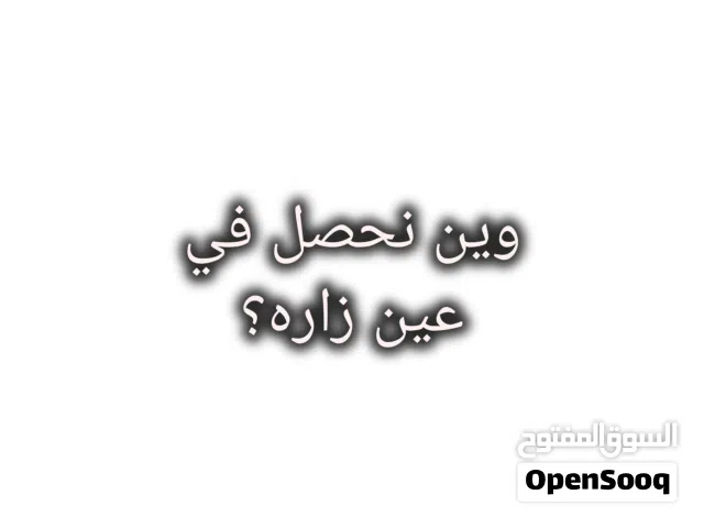 وين نخصل قط عربي لتبني في عين زاره