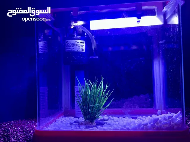 لدواعي السفر للبيع حوض أسماك 18*18 مع اوكسجين واضاءة Led فقط 10bd
