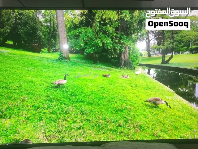 شاشه LG بحاله جيده بدون عيوب 55 بوصه اسمارت