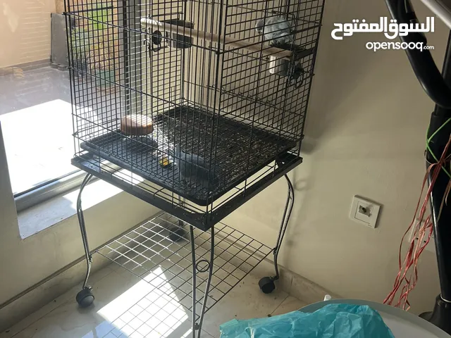 One big cage in black color clean good condition One rabbit green color Few small for small birds