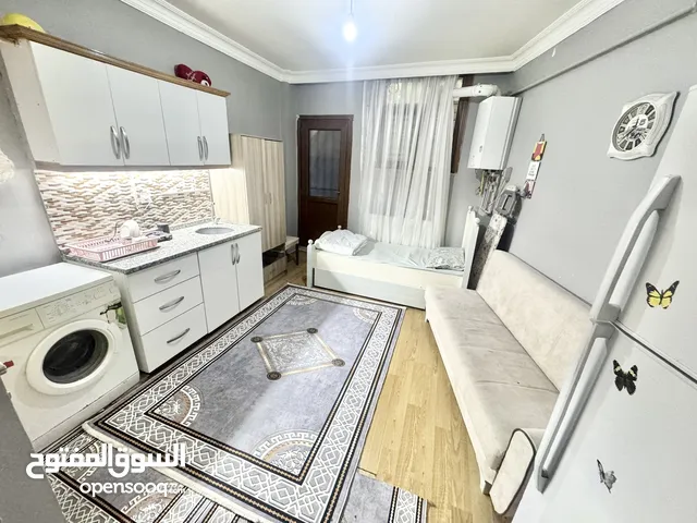 استيديو مفروش 0+1